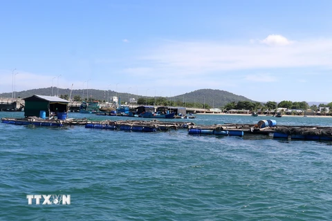 Nuôi cá lồng bè trên vùng biển Phú Quốc (Kiên Giang). (Ảnh: Lê Huy Hải/TTXVN)