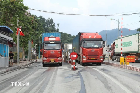 Phương tiện nhập khẩu hàng hóa vào Việt Nam qua cửa khẩu quốc tế Hữu Nghị (Lạng Sơn). (Ảnh: Quang Duy/TTXVN)