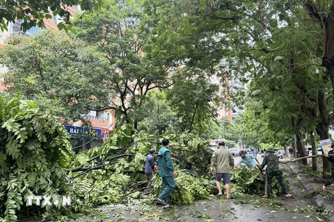 Lực lượng bộ đội cùng nhân dân tham gia khắc phục hậu quả cơn bão tại đường Dương Lâm, Khu đô thị Văn Quán, Hà Đông, Hà Nội. (Ảnh: Kim Anh/TTXVN)