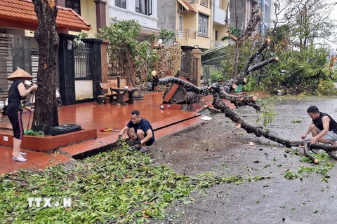 Người dân phường Hồng Hà, thành phố Hạ Long dọn dẹp sau bão. (Ảnh: Đức Hiếu/ TTXVN)