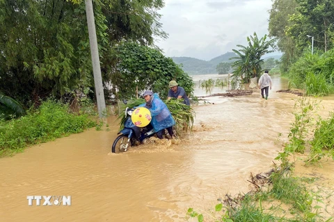 Ngập úng tại xã Tú Thịnh, huyện Sơn Dương. (Ảnh: TTXVN phát)