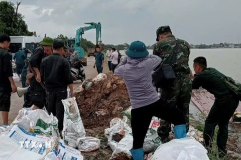 Các lực lượng xã Nam Phuơng Tiến (huyện Chuơng Mỹ) khẩn trương hộ đê khi nước sông Bùi dâng cao. (Ảnh: TTXVN phát)