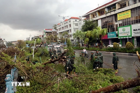 Các chiến sỹ thuộc Trung đoàn Bộ binh 43, Sư đoàn 395, Quân khu 3, đội mưa hỗ trợ người dân thu dọn cây xanh gãy đổ dọc tuyến Quốc lộ 18A qua địa phận thành phố Hạ Long, tỉnh Quảng Ninh. (Ảnh: Đức Hiếu/TTXVN)