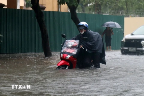 Phương tiện giao thông bị chết máy do nước ngập sâu. (Ảnh: Văn Tý/TTXVN)