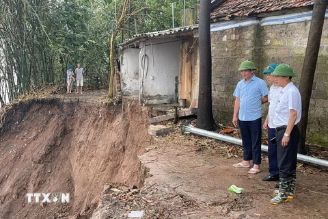 Ông Trương Văn Học, Phó Chủ tịch Ủy ban Nhân dân huyện Gia Lâm đi kiểm tra thực tế những vị trí sạt lở bờ sông ở xã Kim Lan. (Ảnh: Mạnh Khánh/TTXVN)