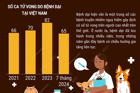 Ngày Thế giới phòng chống bệnh dại: Cùng chung tay phá vỡ rào cản