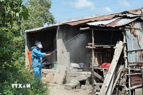 Lực lượng thú y của huyện Ninh Sơn (Ninh Thuận) phun hóa chất tiêu độc, khử trùng cho hộ chăn nuôi lợn bị dịch tả Châu Phi. (Ảnh: TTXVN phát)