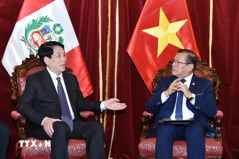 Chủ tịch nước Lương Cường hội kiến Chủ tịch Quốc hội Peru Eduardo Salhuana. (Ảnh: Lâm Khánh/TTXVN)