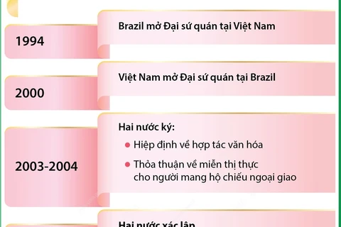 Tổng quan về quan hệ Đối tác chiến lược giữa Việt Nam và Brazil 