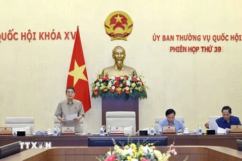 Phó Chủ tịch Quốc hội Nguyễn Đức Hải điều hành phiên họp. (Ảnh: Doãn Tấn/ TTXVN)