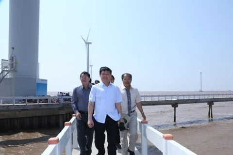 Dự án Nhà máy điện gió Bạc Liêu đã hòa lưới điện Quốc gia 