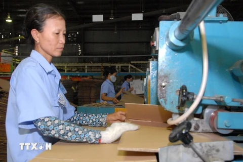 “Công nghiệp phụ trợ không thể thay đổi nền kinh tế Việt Nam” 