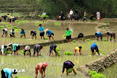 Hội thảo phát triển kinh tế Hà Giang trong mối liên kết vùng Đông-Tây