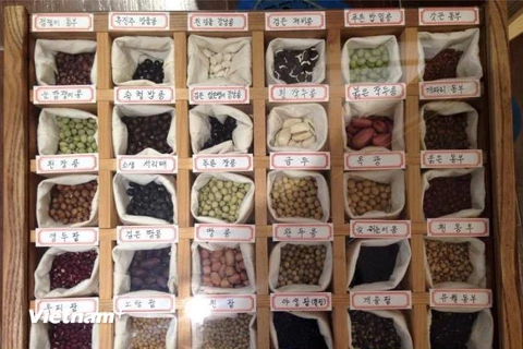 Những người nông dân ở Cheolwon, Gangwon - Hàn Quốc, liên kết nhau sưu tầm các hạt giống quý của địa phương. (Ảnh: Ông Lee cung cấp)