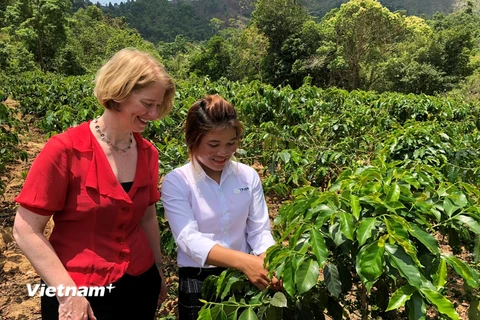 Đại sứ New Zealand tại Việt Nam, bà Wendy Matthews tới thăm người dân Hoàng Hóa, Quảng Trị. (Ảnh: BTC)