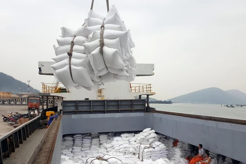Bốc xếp gạo xuất khẩu tại cảng Cửa Lò - Nghệ An. ( Ảnh: Danh Lam/TTXVN)