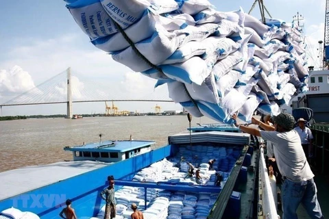 Tổng cục Hải quan kiến nghị việc cho doanh nghiệp xuất khẩu gạo nên xem xét đấu thầu hạn ngạch. (Ảnh: TTXVN)