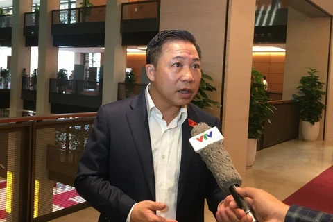 Đại biểu Quốc hội Lưu Bình Nhưỡng trả lời phỏng vấn. (Ảnh: PV/Vietnam+)