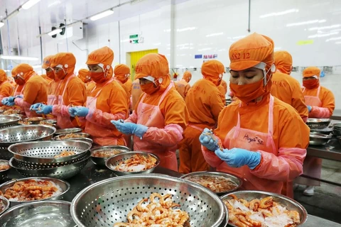 Tham gia vào RCEP, Việt Nam hướng nhiều hơn đến tác động ‘tạo thương mại.’ (Ảnh minh họa/TTXVN)