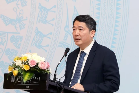 Thứ trưởng Bộ Tài chính, Cao Anh Tuấn. (Ảnh: PV/Vietnam+)