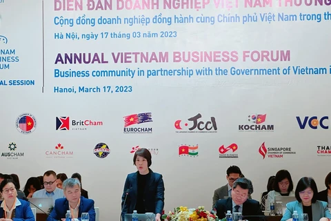 Thứ trưởng Bộ Kế hoạch và Đầu tư Nguyễn Thị Bích Ngọc. (Ảnh: PV/Vietnam+)