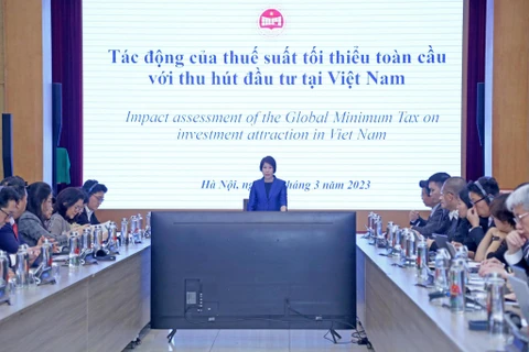 Thứ trưởng Bộ Kế hoạch và Đầu tư Nguyễn Thị Bích Ngọc. (Ảnh: CTV/Vietnam+)