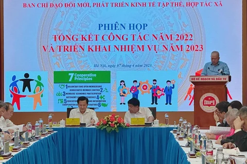 Năm 2023 là năm cả nước tập trung triển khai quyết liệt nhiều nhiệm vụ và giải pháp quan trọng về phát triển kinh tế tập thể, hợp tác xã. (Ảnh: CVT/Vietnam+)