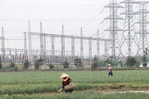 Công tác ứng phó biến đổi khí hậu, tăng trưởng xanh và bền vững cần thiết phải huy động nguồn lực Tài chính Xanh. (Ảnh: Hạnh Nguyễn/Vietnam+)