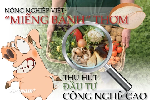 Nông nghiệp Việt Nam ngày càng hút các "đại gia" tham gia đầu tư vào lĩnh vực tiềm năng này. (Đồ họa: Thanh Trà/Vietnam+)