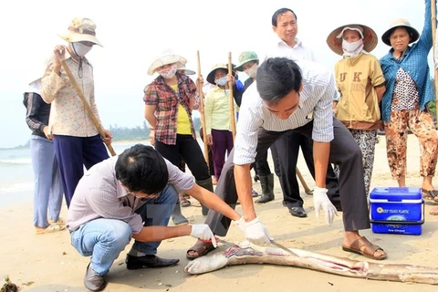 Ảnh chỉ có tính minh họa. (Nguồn: TTXVN)