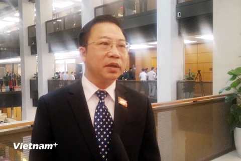 Đại biểu Lưu Bình Nhưỡng trả lời báo chí chiều 29/7. (Ảnh: T.Hiền/Vietnam+)