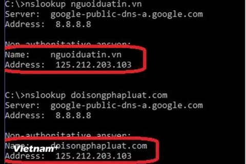 Website Nguoiduatin.vn và Doisongphapluat.com được đặt trên cùng 1 server. (Nguồn: Bkav)