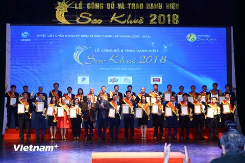 Các doanh nghiệp được vinh danh tại Sao Khuê 2018. (Nguồn: CTV/Vietnam+)