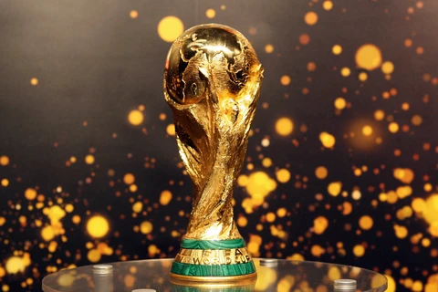 Cuối cùng thì VTV cũng giành được bản quyền phát sóng World Cup 2018 với sự giúp sức của Viettel, Vingroup. (Ảnh minh họa: goal.com)