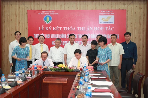 Vietnam Post sẽ kết nối với hệ thống thông tin của Bộ Nông nghiệp và Phát triển nông thôn để phối hợp trong việc tiếp nhận, trả hồ sơ, kết quả giải quyết thủ tục hành chính. (Nguồn: VNP)
