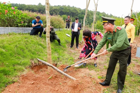 Tết trồng cây nhớ ơn Bác tại đền Chung Sơn: Gieo mầm xanh, gặt hy vọng