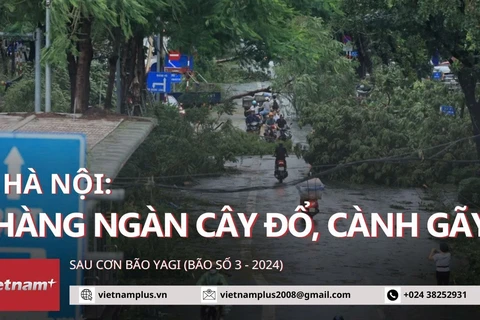 Hàng ngàn cây đổ, gãy cành tại Hà Nội, nhiều tuyến phố bị chia cắt sau bão số 3