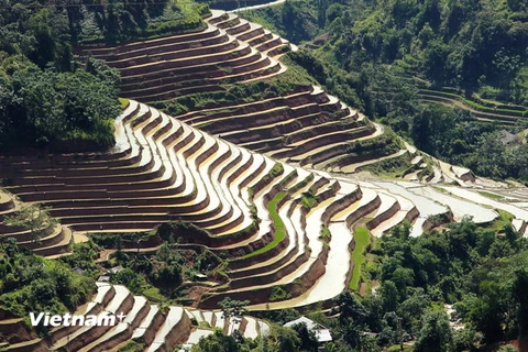[Photo] Vẻ đẹp của ruộng bậc thang Hoàng Su Phì mùa đổ nước