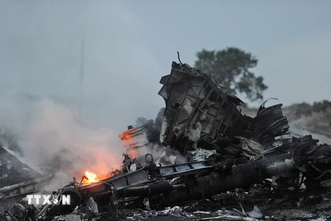 OSCE: Phiến quân Ukraine đồng ý hỗ trợ vụ máy bay rơi