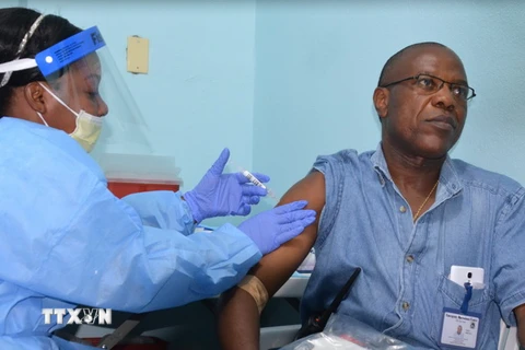 Thảo dược trong Đông y có khả năng ngăn chặn virus Ebola