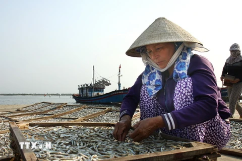Ngư dân vùng biển ở Bạc Liêu phấn khởi vì trúng mùa ruốc