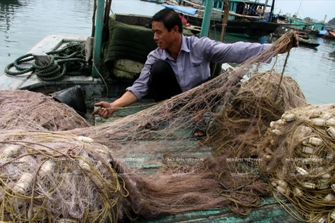[Photo] Bình minh chợ cá cột 5: Luôn tấp nập tiếng kẻ mua, người bán