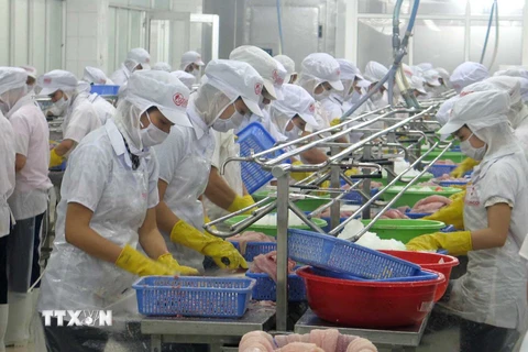 Tiền Giang khai thác hiệu quả các khu công nghiệp, cụm công nghiệp