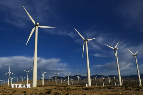 Các tuabin gió tại nhà máy phong điện ở Palm Springs, bang California. Ảnh minh họa. (Nguồn: THX/TTXVN)