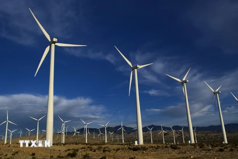 Các tuôcbin gió tại nhà máy phong điện ở Palm Springs, bang California, Mỹ. (Nguồn: THX/TTXVN)