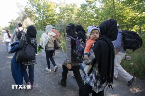 Người di cư từ Afghanistan tại khu vực biên giới Hungary-Serbia ngày 18/6. (Nguồn: THX/TTXVN)