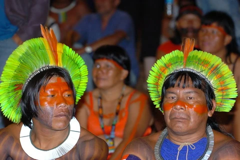 Phát hiện liên hệ về gen giữa thổ dân Amazon và Australia