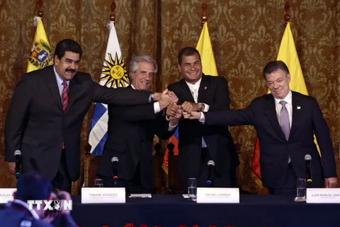 Trong ảnh (từ trái sang phải): Tổng thống Venezuela Nicolas Maduro, Tổng thống Uruguay Tabare Vazquez, Tổng thống Ecuador Rafael Correa và Tổng thống Colombia Juan Santos sau cuộc gặp tại Quito. (Nguồn: AFP/TTXVN)