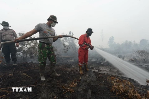 Nhân viên cứu hỏa nỗ lực khống chế các đám cháy rừng ở Rimbo Panjang, tỉnh Riau ngày 15/9. (Nguồn: AFP/TTXVN)