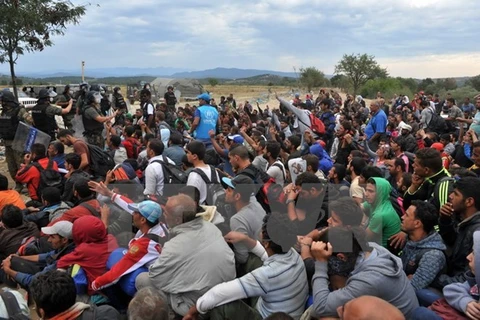 Người di cư chờ đợi tại thị trấn biên giới Idomeni, miền bắc Hy Lạp. (Nguồn: AFP/TTXVN)
